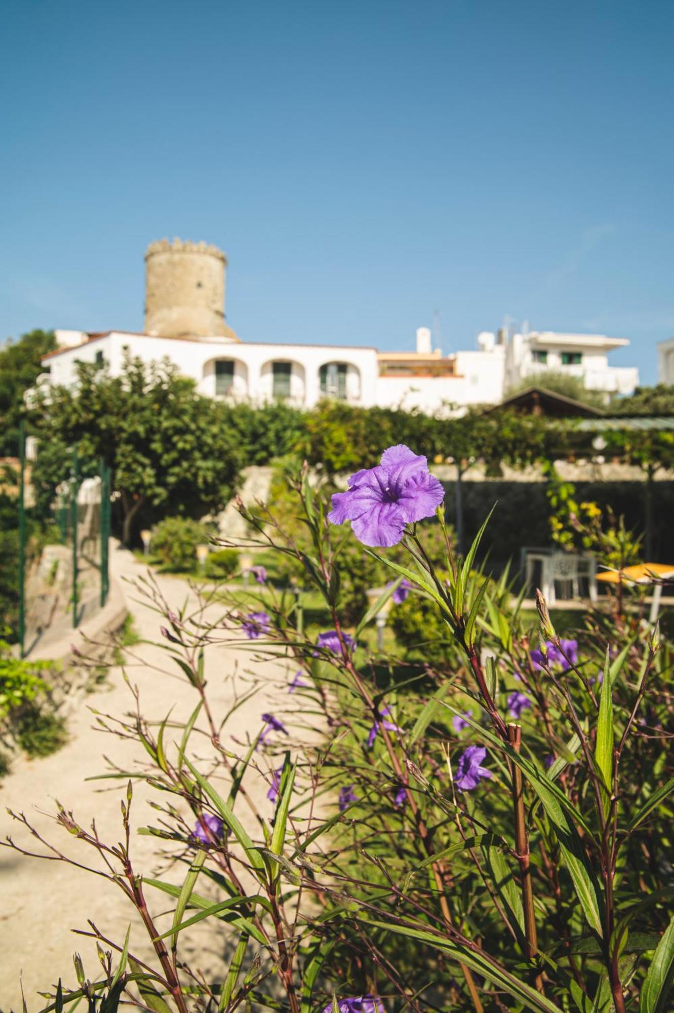 Victoria Park Resort Ischia Exterior foto